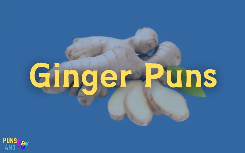 Ginger Puns