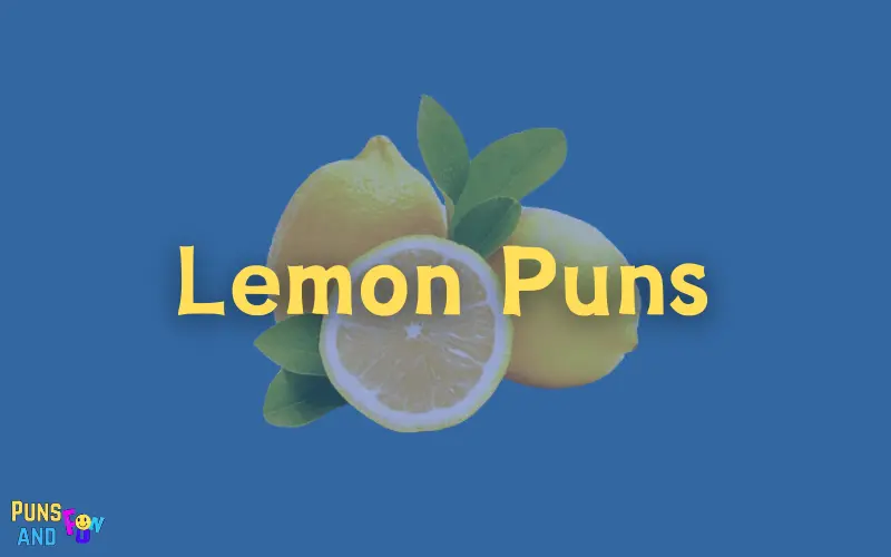 Lemon Puns