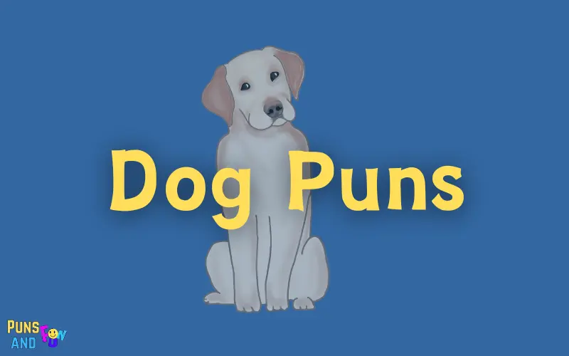 Dog Puns