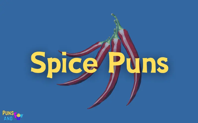 Spice Puns